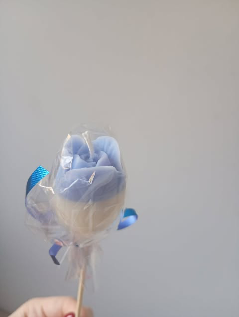 Podziękowania Tulipany ❤️
